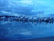 Harbor in Australia (1).jpg
